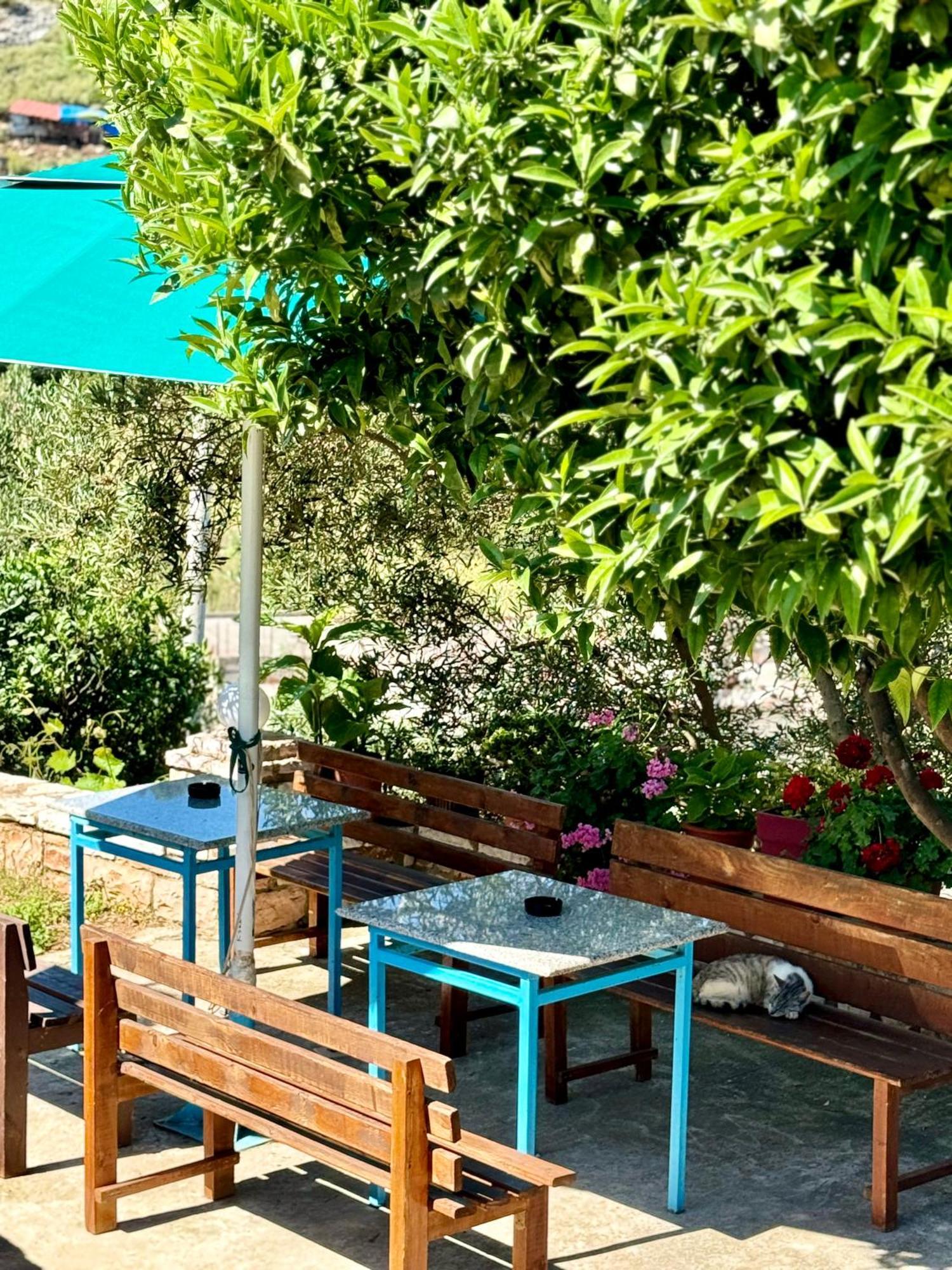 Paza Apartment *